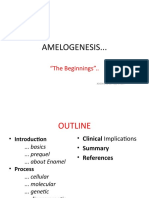 Amelogenesis... : "The Beginnings".