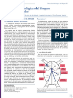 Bases Electrofisiologicas Del Bav