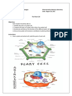 1C-Tabugoc - LA2 Plant Cell