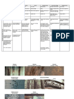 AFA Overview Fractures