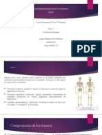 Fase 2 - Locomoción Humana.