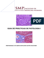 Guia de Practica Patologia 2021-Ii