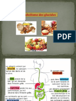 Métabolisme Des Glucides DR - Khebbat Zerargui F.