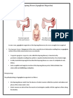 Hirschsprung Disease (Aganglionic Megacolon)