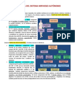 Resumen de Histología Del Sistema Nervioso Autónomo