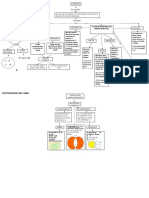 MAPA CONCEPTUAL Conjuntos