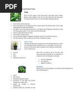 Medicinal Plants