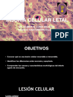 Patología: Injuria Celular Letal, Necrosis, Apoptosis, Infarto de Miocardio