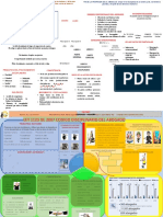 Infografia Ley 1123 - Maria Alvarez