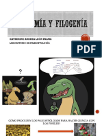 Taxonomía y Filogenia