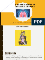 Enfermedad Pulmonar Obstructiva Crónica