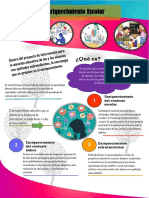 Infografía Enriquecimiento Curricular