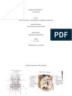 Mapa Conceptual - Topografia de Abdomen y Peritoneo