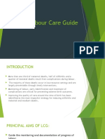 WHO Labour Care Guide