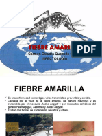 Fiebre Amarilla