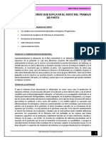 Principales Teorías Que Explican El Inicio Del Trabajo de Parto