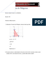 Taller Teorema de Pitagoras