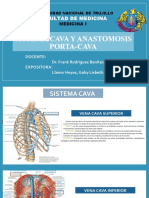 Sistema Cava y Anastomosis Porta-Cava