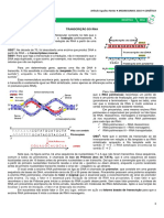 04 - Transcrição Do DNA