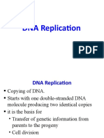 Dna Replication