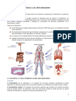 Tema 6. - El Metabolismo