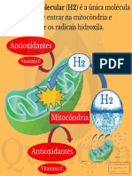 h2 Quantum - Hidrogênio Molecular - Mitocôndria - Antioxidante - Radicais Hidroxila