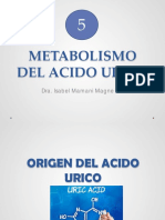 Metabolismo Del Acido Urico