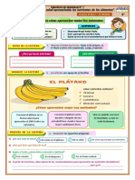 Comunicación S21 D1