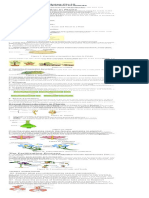 Notes Ch-12 Reproduction in Plants