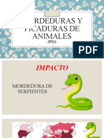 Mordeduras y Picaduras de Animales