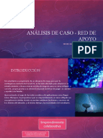 Análisis de Caso - Red de Apoyo