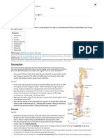 Corticospinal Tract Pyramidal Tract - Physiopedia