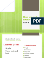 Head and Neck Arterial System