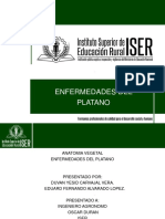 Primer Trabajo de Sanidad Vegetal Eduard Alvarado y Duvan Carvajal