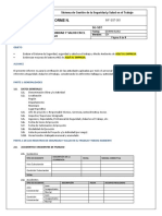 Formato Informe Mensual SST