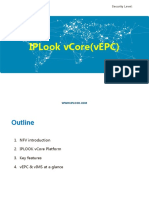 Iplook Vcore (Vepc) : Security Level