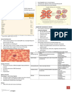 CP RBC Disorder