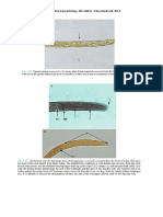 Veterinary Clinical Parasitology - Zajac A