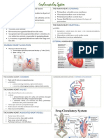 Cardiovascular System Reviewer