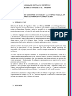 Programa de Sistema de Gestión de La Seguridad y Salud en El Trabajo SFC