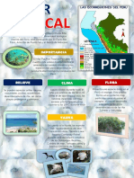 Infografia Ecorregion