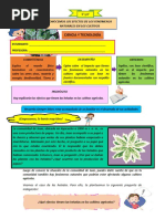 5° y 6° Ciencia y Tecnología