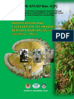 Propagation and Cultivation Techniques of Bentara Durian (Durio Zibethinus Murr)