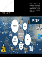 Infografia Dinamica Ambiental Del Mercurio