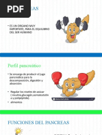 Perfil Pancreático