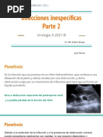 12.infecciones Inespecíficas Urología