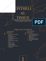 HistoLab - Exercise 1 & 2