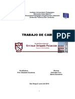 Trabajo de Campo Felicidad Toro y Elies Sarmiento Iutepal