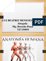 I-3 Anatomía Humana