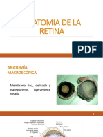 Anatomía de La Retina